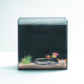 High-Clarity 3.5 Gallon Fish Tank 30 * 15 * 30CM - Low Iron Glass Aquarium with Space-Saving Thin & Narrow Designs | Includes Non-Slip Mat, Corner Guards + Decor | Ideal for Desktop/Bathroom - size: Small