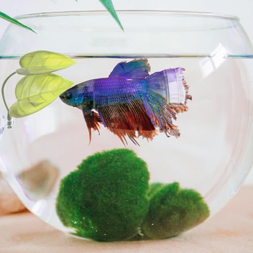 Betta Fish Tunnel Tube & Hammock with Leaf Pad, Blue, Aquarium Decor Ornament, Wall Hanging, Small Fish & Shrimp Habitat