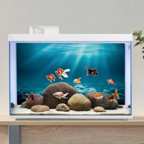 AWERT 72x24 inches Undersea Theme Aquarium Background Sunshine Underwater World Fish Tank Background Polyester Background - size: 72x24in/180x60cm