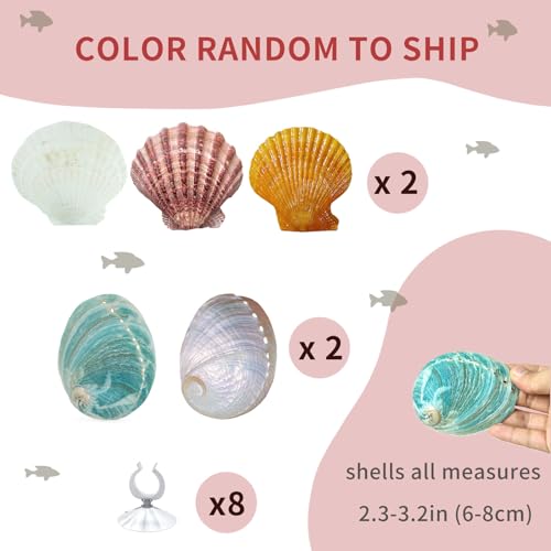Oncpcare Betta Fish Resting Spot Shell Bed 4-Pack — Natural Habitat Style Hideout for Breeding, Spawning & Resting Betta Fish - color: color random 4pcs