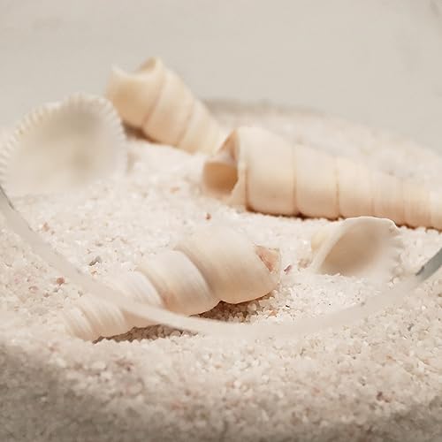 Silica Gravel, Multi-Purpose Mini White Silica Sand for Fire Pits, Aquariums and Landscaping, 5LB - color: White Mini, size: 5LB
