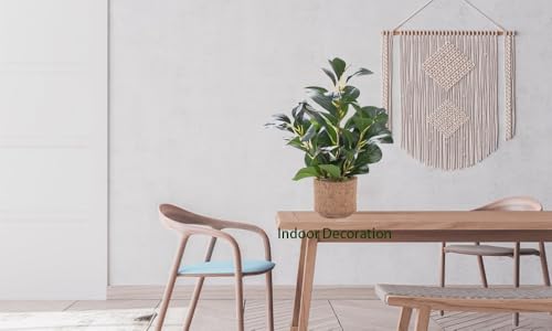 12.6" Fake Plants in Brown Ceramic Vase Realistic Ficus Leaf Faux Plant for Desk Book Shelf Bathroom Office Kitchen Counter Bedroom Small Space Ready to Display Artificial Indoor Plant Decor