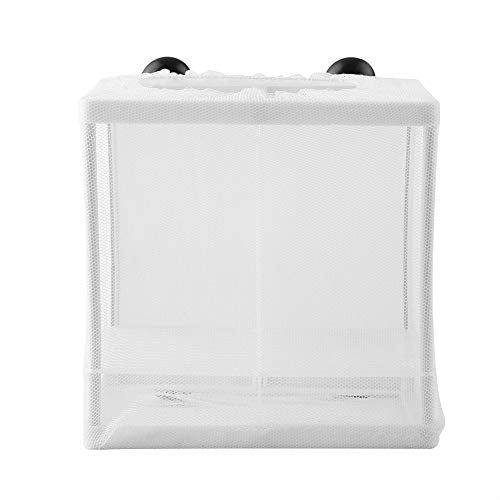 Fish, Breeder, Easy Installation, Suction Cup Design, Isolation Fish Breeding Net Suitable for Fish Breeding