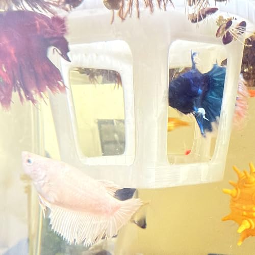 HOZOE Aquarium Betta Hammock, Betta Hideout & Cave, Floating Feeding Ring for Fish and Shrimp, Aquarium Floating Decoration Accessory (Translucent Color) - color: Translucent color
