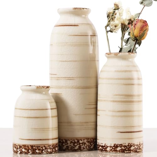 Joeabor Ceramic Vase Set of 3 - Handcrafted Ceramic Vases for Home Decor & Shelf - Modern Farmhouse Decor for Kitchen, Office, Bedroom & Living Room Decorative Objects for Mantel, Table Centerpieces - color: Set a