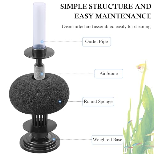 HITOP Diameter 4in Aquarium Bio Sponge Filter: 5-40gallon Air-Powered Fish Tank Filter, Quiet Filter for Aquarium/Betta Tank/Shrimp Tank/Fry Tank - style: Large 4in-1pack
