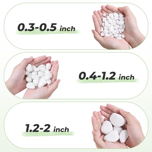 SIDONG 5 LB White River Rocks, 0.4-1.2 Inches Matte Pebbles for Indoor Plants, Aquarium Rocks Used in Fish Tank, Decorative Stones for Plants, Vases, Home Décor, Crafting, Garden Landscaping - color: White, size: 5 lbs,0.4-1.2inch