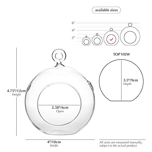WGV Hanging Terrarium Globe, Width 4", Height 4.75", DIY Air Succulent Planter, Clear Glass Vase Orb with Flat Bottom, Candle Holder for Windowsill Outdoor Garden Decor, 6 Pieces Bulk - size: 4" Flat Bottom