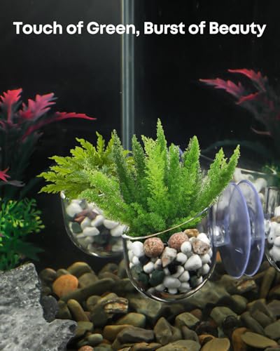 Pawfly Aquarium Plant Holder for Fish Tanks, Clear Plastic Fish Tank Plant Holder, Aquarium Planter Cup with Suction Cup, Fish Tank Plant Pot for Aquascape Decoration, Red Worm Fish Feeder - size: 1 Pack