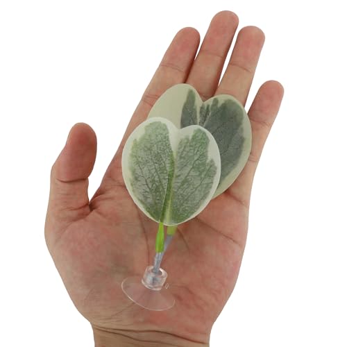 Betta Fish Bed, Betta Leaf Bed, Plastic Betta Heart-Shaped Hammock, Betta Hammock Pad with Suction Cup, Betta Fish Resting Place Betta Fish Supplies Aquarium Decor, Light Green - color: Light Green