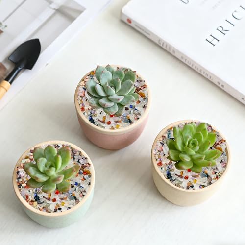 Kaiyuan Dynasty 230g 5-7mm Colorful Crystal Chips Bulk, Natural Polished Gemstones Crushed Stones, Decorative Pebbles for Vase Fillers & Aquarium Gravel Rocks - color: Colorful, size: 0.5LB