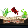 CTWPets Shrimp Breeding Protector | Shrimp Breeding Cave Aquarium Tunnel (Light Brown) - color: Light Brown