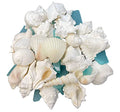 Tumbler Home White Sea Shell Mix with Aqua Sea Glass | Set Contains 1.5 lbs of Seashells and Seaglass | Beach Decor, Crafts, Wedding, Vase Filler - color: Shells + Glass
