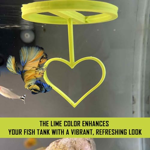 Floating Heart Betta Training Ring, Heart Active Betta Training Ring, Floating Feeder, Enrichment Toys for Aquarium Decor, Pink, 3.8in x 3.7in (Lime, Pack of 2) - color: Lime, size: Pack of 2