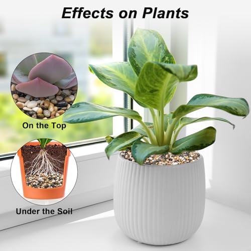 Virekm River Rocks, Decorative Ornamental Pebbles,Garden Landscaping Stones,Gravel Filler for Home Decoration Flower Bed Fish Tank Plants Vases Succulents - color: mixed color, size: 1 Pound