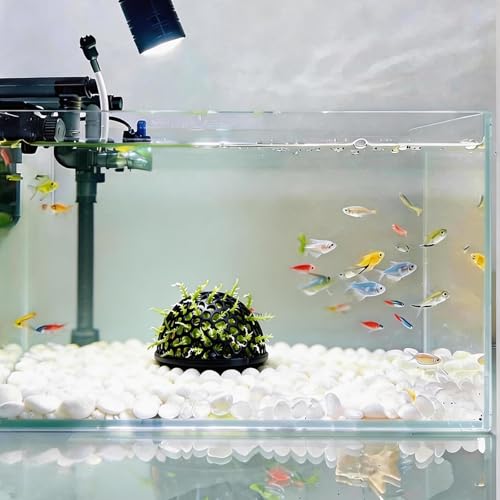 4 PCS Shrimp Dome Hide, Aquarium Shrimp Cave Hideout, Shrimp Hides for Aquarium Small Fish Guppy Shrimp Habitat Rest