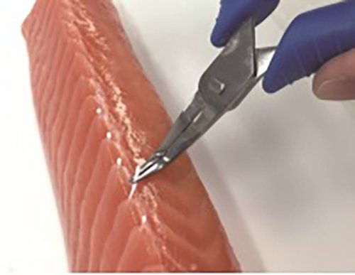-Stainless, Fish Bone Tweezers III