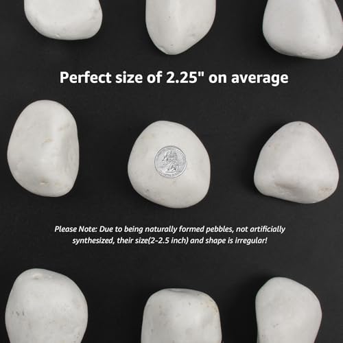 10lbs White Natural River Rocks, Polished Pebbles for Plants Garden, 2-3 inch Decorative White Stones, Ideal for Fish Tank, Vases, Crafting, Home Decor and Garden Landscaping Rocks - color: Pure White, size: Weight: 10 LB