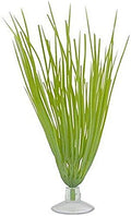 Marina Betta Kit Plastic Plant, Hairgrass - style: Hairgrass