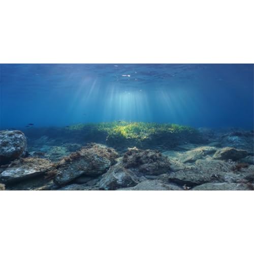 AWERT Ocean Floor Fish Tank Background Underwater Stone Aquarium Background 48x20 inches Vinyl