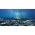 AWERT Ocean Floor Fish Tank Background Underwater Stone Aquarium Background 30x12 inches Vinyl - size: 30x12in/75x30cm