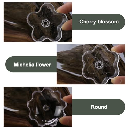 Shrimp Feeding Dish, Acrylic Aquarium Feeding Bowl with Suction Cup for Fish Tanks - color: Cherry blossoms