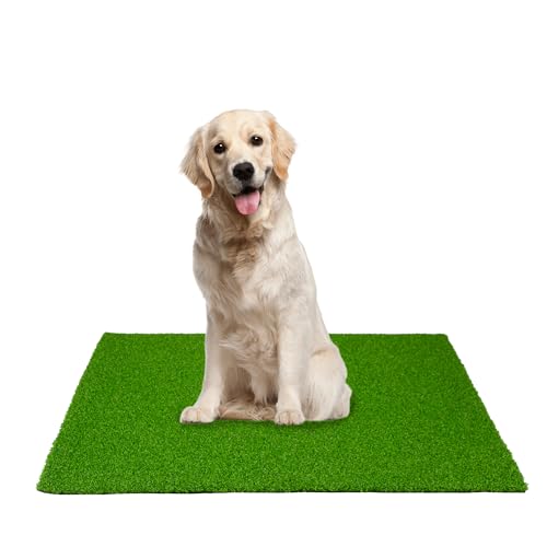 Artificial Grass Turf,5X6ft Artificial Synthetic Fake Grass,0.6" Pile Height,Indoor Outdoor Garden Grass Carpet,Patio Balcony Lawn, Astro Turf Rug Dogs Pet,Golf Training Mat,Green - size: 5FTX6FT