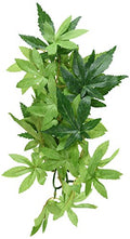 Exo Terra Silk Terrarium Plant, Small, Abutilon - size: Small