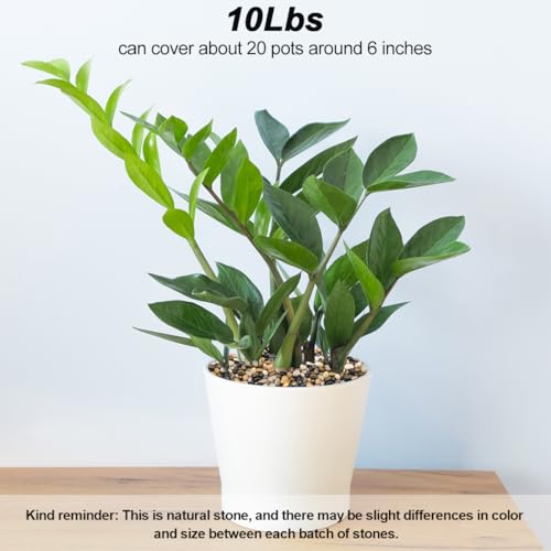 Fish Tank Rocks,Virekm River Rocks, Decorative Ornamental Pebbles Garden Landscaping Stones Gravel Filler for Home Decoration Flower Bed Fish Tank Plants Vases Succulents (10 Pounds) - color: mixed color, size: 10 Pounds