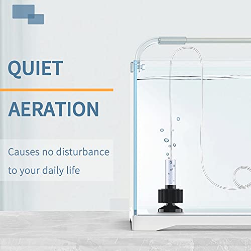 Pawfly Aquarium Sponge Filter, Mini Sponge Filter Kit with Airline Tubing and Control Valve for Small Fish Tank up to 3 Gallon
