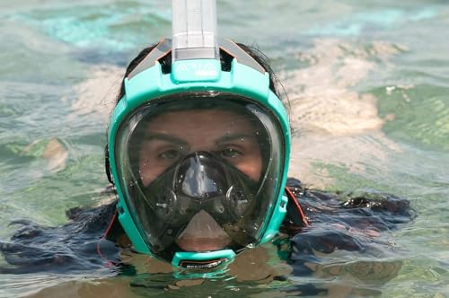 OCEAN REEF - Aria QR + Quick Release Snorkeling Mask - Full Face Snorkeling Mask - 180 Degree Underwater Vision - 8 Colours and 4 Sizes - color: Teal, size: Large / Extra Large
