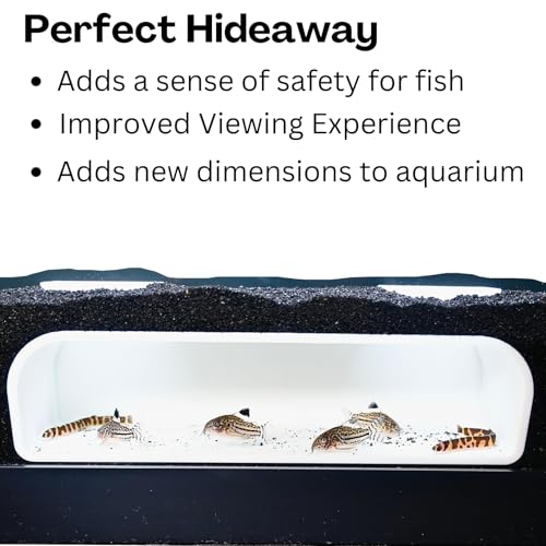 Aquarium Underground Tunnel Cave | Viewing Fish & Shrimp Under Gravel Tunnel | Fish Tank Decor Decoration Hideout Perfect for Corydora Catfish, Kuhli Loach, Clown Loach, Pleco (White) - color: White