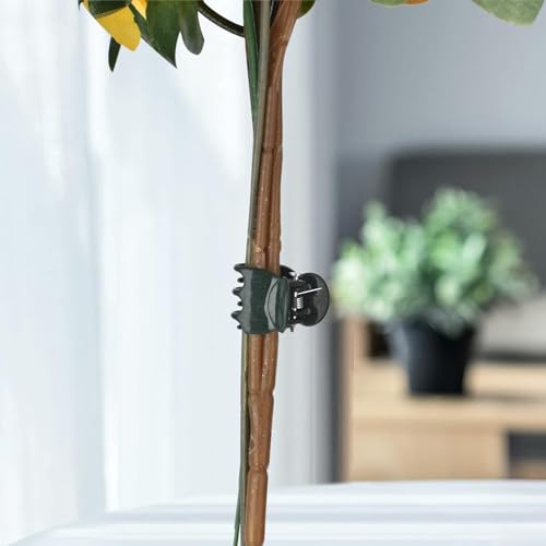 AccEncyc 100 Pcs Plant Clips Orchid Clips Plants Orchid Support Clips Flower Vine Clips for Supporting Stems Vines Stalks Climbing Plant Grow Upright - size: 100Pcs Classic