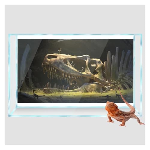 Fish Tank Background Reptile Habitat Background Dinosaur Bones Desert 3D Wallpaper Fish Tank Aquarium Decorations for Home(60x90cm 24x35in) - size: 60x90cm 24x35in