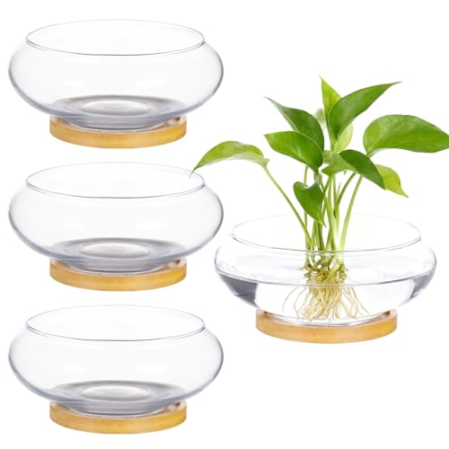 4PCS Lotus Bowl Planter with Wood Tray, 6 Inch Round Glass Vase for Hydroponics, Glass Fish Bowl, Bowl Planter for Plants Indoor Windowsill, Home Decor (4PCS)