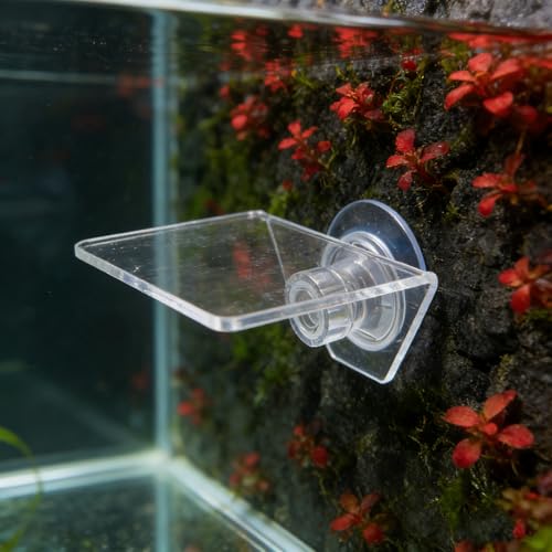 Aquarium Floating Shelf: Fish Tank Acrylic Ledge Plants Holder with Suction Cup - 4x3.2x2in Transparent Ledge for Aquarium Coral Aquatic Plants Moss - size: 10.00X8.00X5.00CM