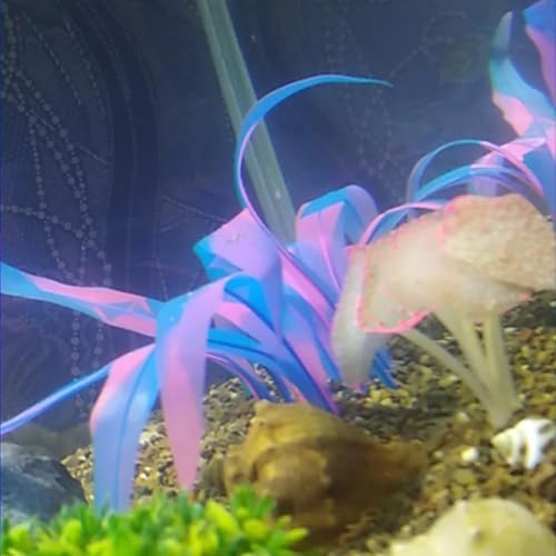 2Pcs Soft Silicone Aquarium Plants Glowing Kelp Fish Tank Plants Decor Artificial Aquarium Plant Decoration Simulation Artificial Water Grass for Fish Tank,Blue,7inch - color: Blue, size: 7inch