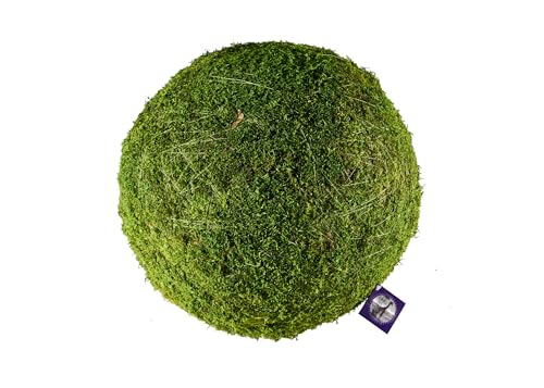 SuperMoss (21666 Moss Balls – Preserved Decorative Moss Balls for Home Décor, Vase Fillers, Centerpieces, Terrarium & Wedding Décor, Natural Green Moss Décor Balls, 10", Fresh Green - color: Fresh Green, size: 10"