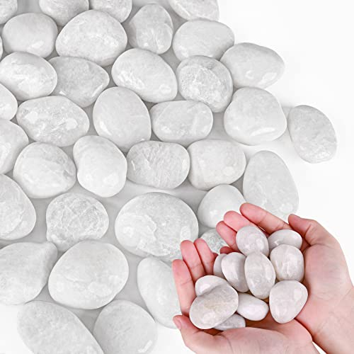 White Pebbles for Indoor Plants 3.5 LB Small River Rocks 1"-1.5" Polished Decorative Stones Smooth Aquarium Gravel for Fish Tank Vases Planters Outdoor Landscaping Garden (56oz) - size: 3.5 LB (56oz), style: White