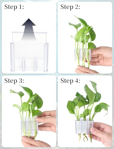 sogiv 3 Holes Aquatic Plant Cups, Hanging Aquarium Plant Holder for Fish Tank Plants Potting, Aquascape Accessories Decorations, Clear, 4 Pcs - color: Clear, 4 Pcs