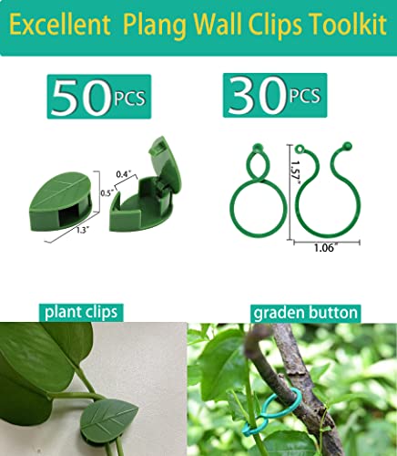 80PCS Plant Climbing Wall Fixture Clips-Plant Clips-Pothos Clips-Vine plant wall clips- Self-Adhesive Plant Fixing Hook for Plant Garden Wall Clip,Sticky Plant Fixing Clip for Decoration - size: leaf