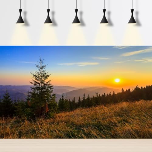 Sunrise Mountains Aquarium Background Fantastic Autumn Foggy Mountains Pine Trees Fish Tank Background Majestic Fall Morning Mountain Slope Meadow Scene Terrarium Reptile Tank Backgrounds 24x16in - color: Orange_Brown, size: 24(W)x16(H)in