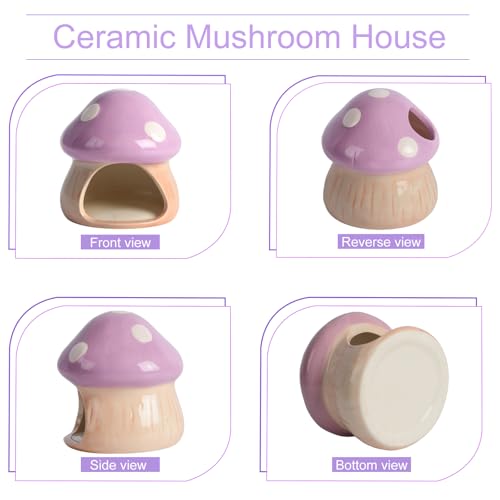 Ceramics Mushroom House Aquarium Decor – Axolotl & Betta Hiding Cave with Breeding Spot for Betta Fish, Shrimp, Small Fish & Goldfish Tank Ornament - Purple - color: Purple