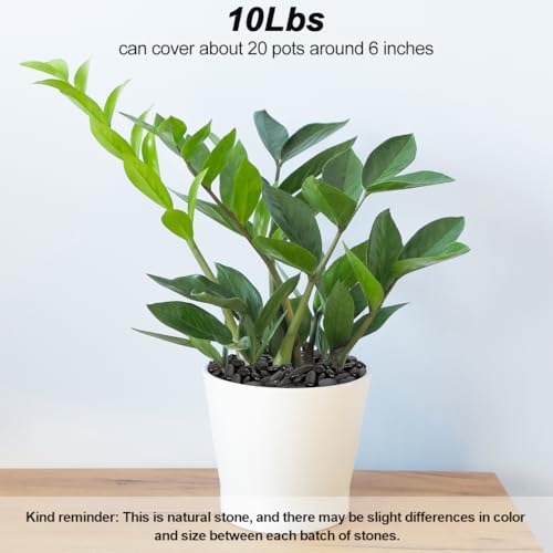 Pebbles for Indoor Plants,Virekm River Rocks,Decorative Ornamental Pebbles,Garden Landscaping Stones Gravel Filler for Home Decoration Flower Bed Fish Tank Plants Vases Succulents (10 Pounds) - color: BLACK, size: 10 Pounds