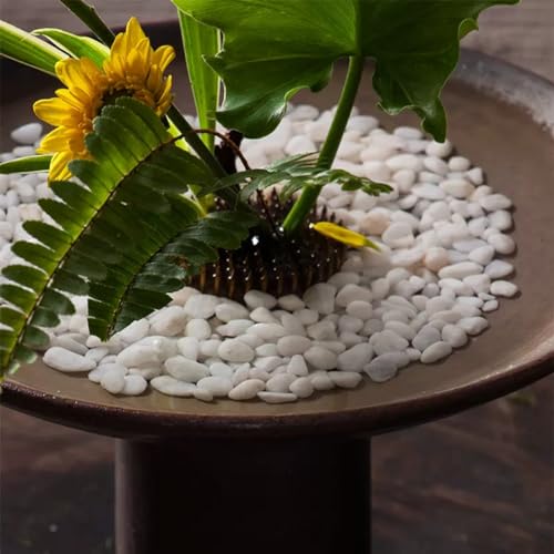 2.0 LB White Aquarium Gravel Pebbles 3/8", Natural Decorative Aquarium Substrate Small River Rocks, Mini Pebbles Stone for Fish Tank, Aquatic Plant Bonsai, Hydrophyte - size: 2.0 Lb