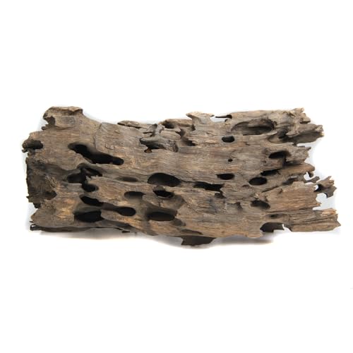 emours Driftwood Branches Reptiles Aquarium Decoration Assorted Size,(5.5-8 inch in Length),4 Pieces (Shrimp Wood)