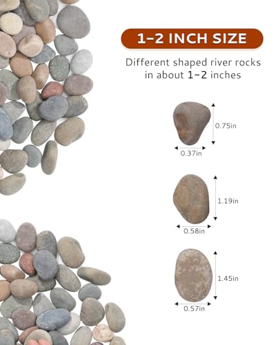 Natural River Rocks-5 lbs of Pebbles and River Stones,1-2 Inch Plant Rocks for Landscaping,Garden Paving,Crafting,Walkways,and Outdoor Decorative Stone,Mexican Beach River Rocks - color: 1-2Inch, size: 5Pounds