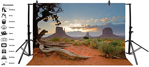 Leyiyi 5x3ft Monument Valley Photography Background American National Park Navajo Tribal Park Cowboy Western Desert Weathering Rock Warship Landmark Film Backdrop Polyester Terrarium Background - color: Desert2, size: 5x3ft-P