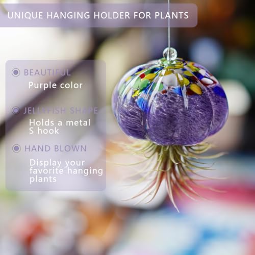 H&D HYALINE & DORA Hanging Hand Blown Art Glass Jellyfish Air Planter Terrarium Decor for Garden Porch Windowsill (No Plants) - color: Jellyfish-purple