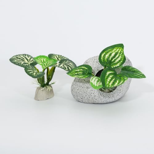 Fish Aquarium Decorations Cave Hide with Viewing Window for Betta Fish Tank Decor - color: Green 2